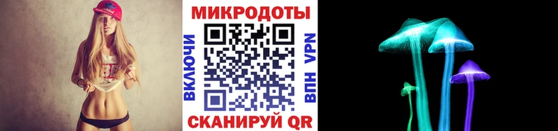 Галлюциногенные грибы Psilocybine cubensis  Конаково 